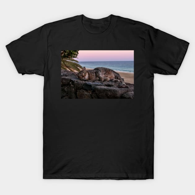 Cat in the sunset on the beach T-Shirt by lightsfromspace